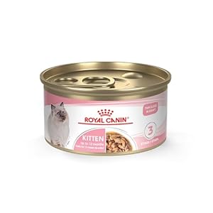 Royal Canin Feline Health Nutrition Kitten Thin Slices in Gravy Cat Food, 3 oz (Pack of 24)