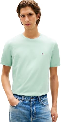 Tommy Hilfiger Men's Ess Seasonal Reg Fit Solid Tee MW0MW39995 S/S T-Shirt, Green, XL