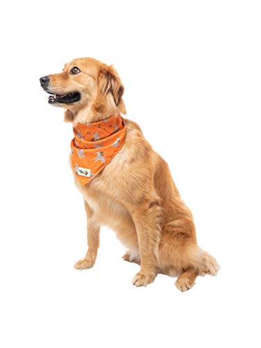 Insect Shield Repellant Dog Bandana For Protecting Dogs From Fleas, Ticks, And Mosquitoes, Dogs & Bones, Orange, 1 Count (Pack Of 1) (Ie9412 69), 19 By 19-Inch #TOP2