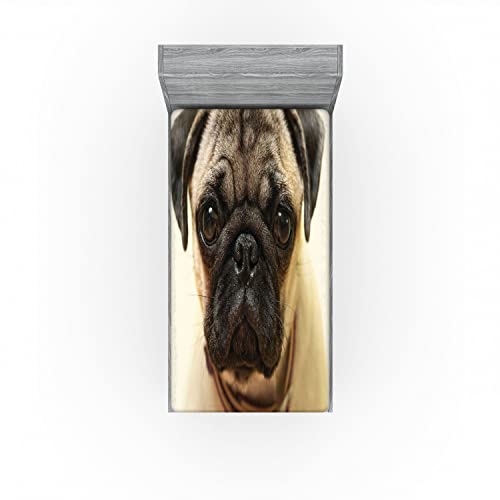 Ambesonne Pug Fitted Sheet, Photograph Of A Pug Pure Bred Puppy With A Loose Collar Dog Pets Animal, Soft Decorative Fabric Bedding All-Round Elastic Pocket, Twin Size, Brown Black #TOP2