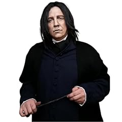 Black - Dark Professor Wizard Wig