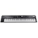 Roland RD-2000 Premium 88-key Digital Stage Piano,Black