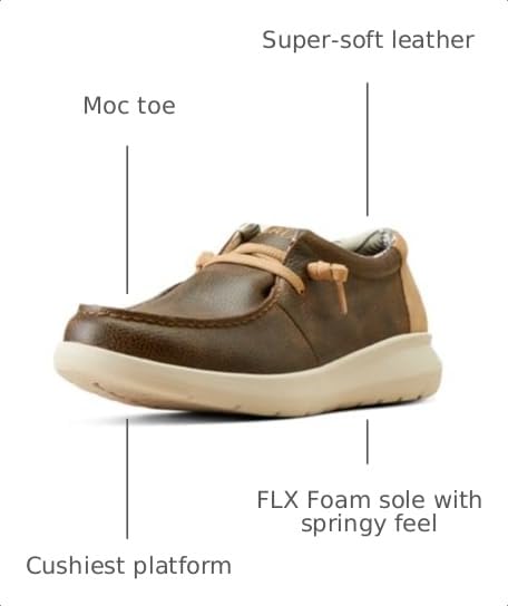Image of Ariat Men's Hilo Shoe
