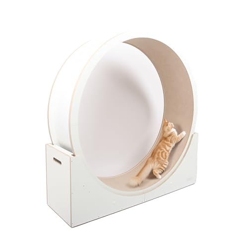 Empfehlenswerte Katzenlaufräder