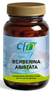 Berberina Estandarizada de Gran Formato (90 Cápsulas) – Extracto Seco Botánico de Rápida Absorción para el Control Glucémico