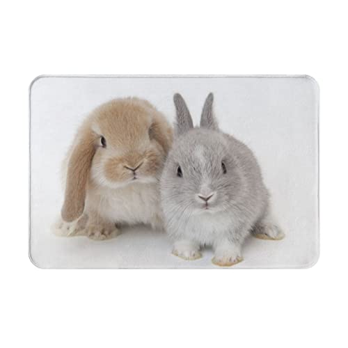 ���փ}�b�g�e�����}�ăE�T�M����A�j�������}�b�g�z�������R�ۖh�L�o�X�}�b�g�z������~�ߖh�J�r�������L���o�X���[���L�b�`���l�G���p�J�[�y�b�g40×60cmh175