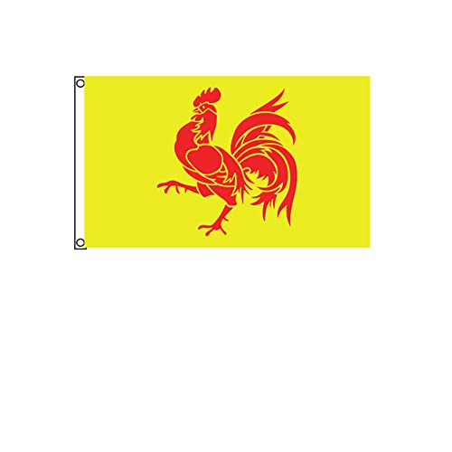 Stormflag Drapeaux Wallonie 3x5ft Drapeau Wallonie 90x150cm polyester 90g avec œillets et Double couture