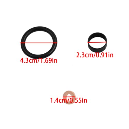Riloer Injektor-Dichtungssatz, Kraftstoffeinspritzdüsen-Dichtungssatz, Dichtungsscheibe für Benzineinspritzdüsen, kompatibel mit Ford Fiesta MK5 1.4 TDCi, 1348623 1148106