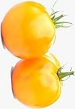 Tomato, Jubilee, Heirloom, 50 Seeds, Deliciously Sweet Yellow Fruit