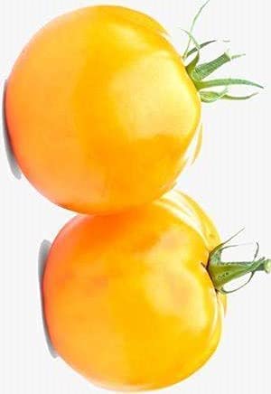 Country Creek Acres Tomato, Jubilee, Heirloom, 50 Seeds, Deliciously Sweet Yellow Fruit #TOP29