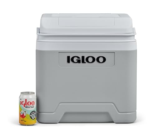 IGLOO IE24 AC/DC elektrische Kühlbox, 24 Liter, Mini-Kühlschrank 12/230 V für Auto, Boot und Freizeit, grau