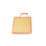 ASDRF Yini - Store Car Air Filter Element Compatible with Great Wall WINGLE 5 2.0TDI-Diesel