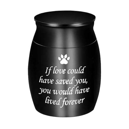 QUXVUIS ٍň S ՑՎv[hj[YٕۑybgLOۑr, 