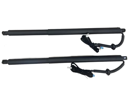 dAnb`tgXgbg ɓK Jx T5 2019+p JgN CeWFgde[Q[gtg e[Q[g(No Kick Senor)