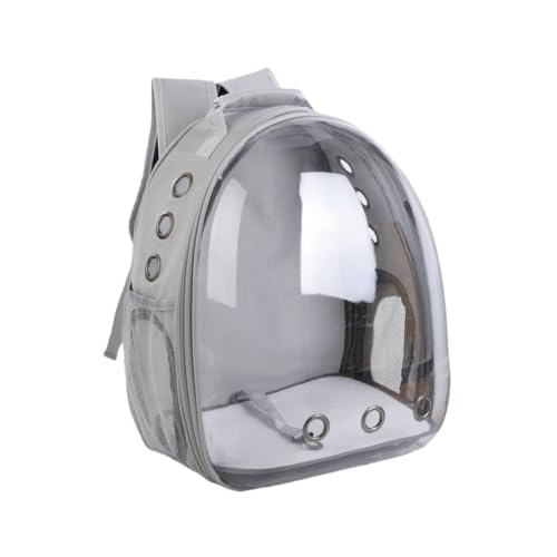 Brfveob ybgL[obO LL[ Lp FDJvZ^ bNTbN sybgobO  o ʋC e ϋv S ܂肽 pbht (O[)