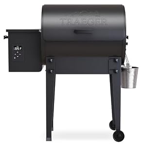 Traeger Tailgater Portable Wood Pellet Grill & Smoker, 300 Sq In