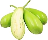 100 Piezas De Semillas De Berenjena Verde Para Jardinería Doméstica Plantación De Especies Trepadoras Primera Opción De Vegetales Perennes Para Entretener A Los Invitados