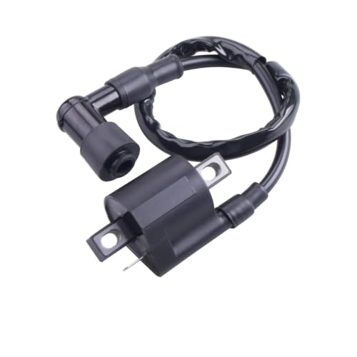 Bobina de paquete alto voltaje y kit de encendido completo para Dirt Pit Bike 125cc y Quad