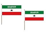 AZ FLAG