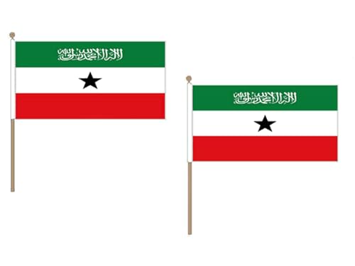 Pack de 10 drapeaux Somaliland AZ FLAG 100% polyester avec hampe robuste - 2