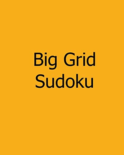 Big Grid Sudoku: Vol. 4 - Large Print Puzzles