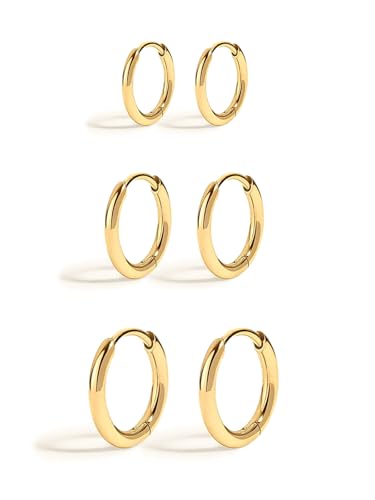 Altitude Boutique Small 18K Gold Plated Hoops