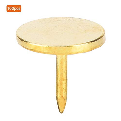 Adfaga 100 tbgwbhlC Eh AeB[NƋ s gX^C Sf ϋv \t@oXPbg H|i WG[{bNX CLrlbg ؐhA z[fR[V (F)