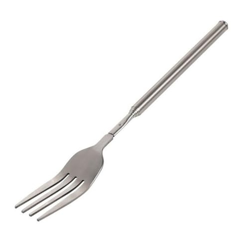 TSUOUKL 1 stück Teleskopgabel,22-64cm Edelstahl Lange Teleskop Gabel Ausziehbare Gabel Grillgabel Lange Griff Gabel für Besteck Dessertgabel