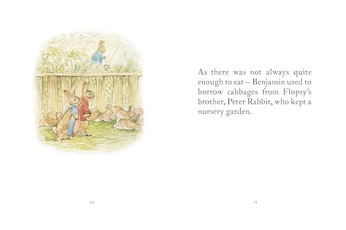 Image of My First Peter Rabbit Collection