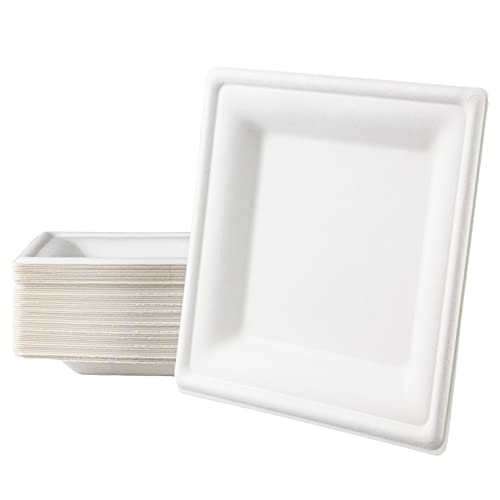 Love Nature Einwegteller 50 Stück - Einweg Teller Partyteller...