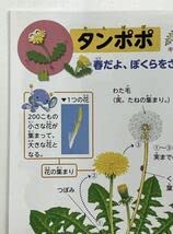 Amazon.co.jp: わくわくずかん しょくぶつはかせ こんちゅう