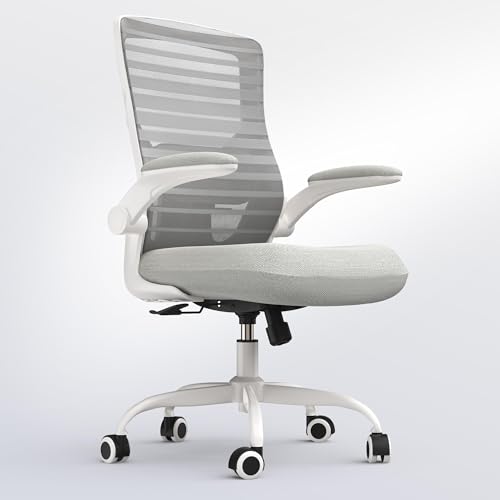 QLTPLUS Office Chair for Long Hours & Lower Back Pain Relief...