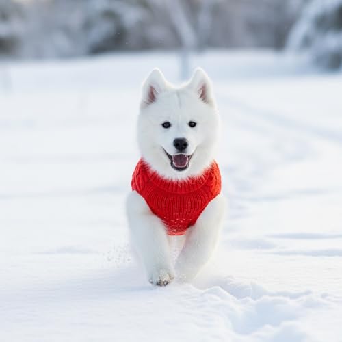 Dackel Pullover, Hundepullover Kleine Hunde, 2 Stück Set in Khaki und Rot, Weicher Strick für Dackel und Kleine Hunde, Leicht und Atmungsaktiv, Größe L