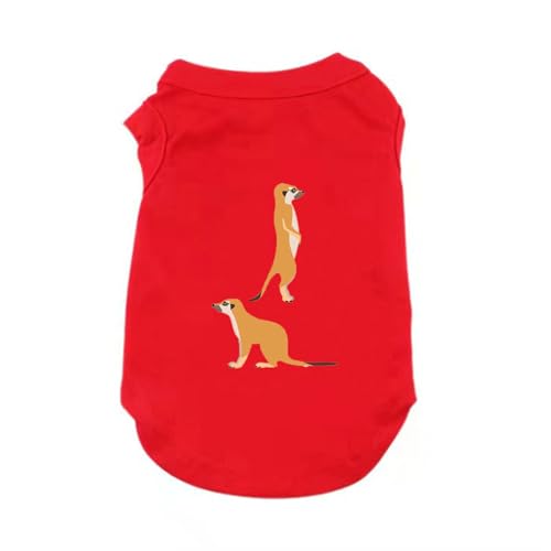 ZSDGBZ  hbOEFA ybgEFA pTVc xXg bh ybg EGA ^  fUC  _炩 K 킢 U XXL ߗ o n