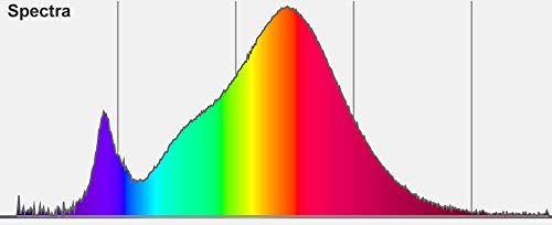 SEBSON - Lampadina a LED E27, 5 W, 400 lm