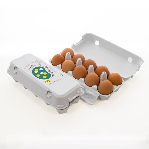 放し飼い米たまご15個+5個保証(計20個)