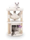Petrebels Design Kratzbaum Holz für Kleine Katzen und Kitten, Tampa 70 cm Beige, Katzenbaum mit Liegehöhle und Hängematte