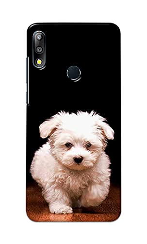Image of Printed Hard Back Cover Case for Asus Zenfone Max Pro (M2) (6.26 inch) | Zenfone Max Pro M2 Back Cover (Puppy Dog) -203