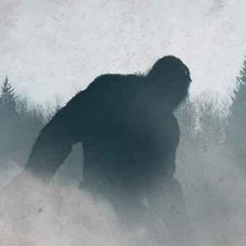 21 SCARY CRYPTID SIGHTING HORROR STORIES Podcast Por  arte de portada