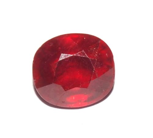 �C���h���F��V�R���r�[(�}�j�b�N)6.25 Ratti-B09NGVXZGJ