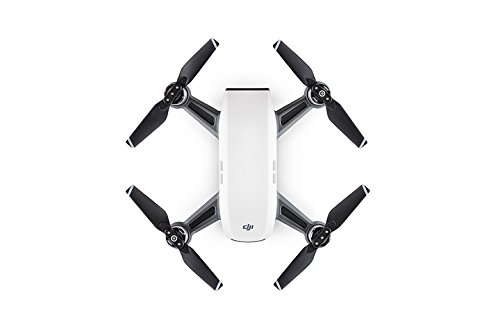 Amazon.com: DJI Spark Portable Mini Drone Alpine White (Renewed