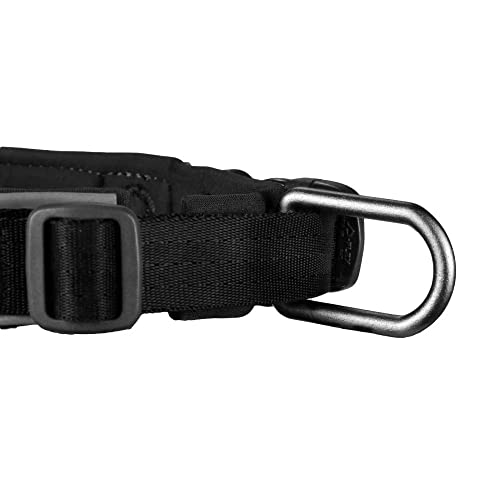 Non-stop dogwear ROAM Collar | solides, gepolstertes Halsband für Jede Aktivität, Größe:M