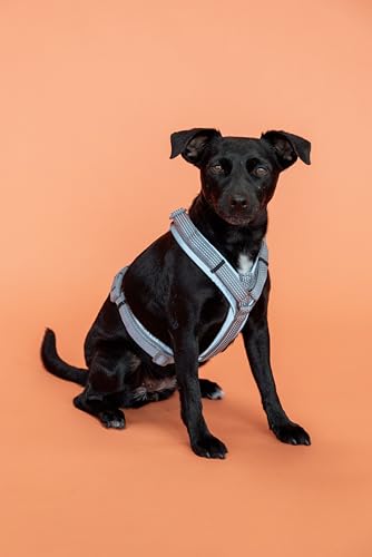 Harnais réfléchissant pour chien Kentucky Active en nylon robuste sécurisé