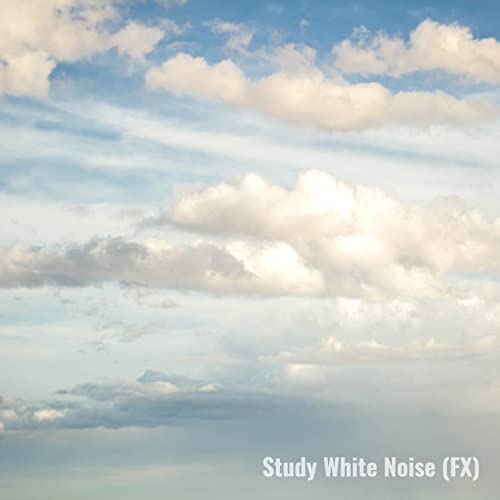 Study White Noise (FX)