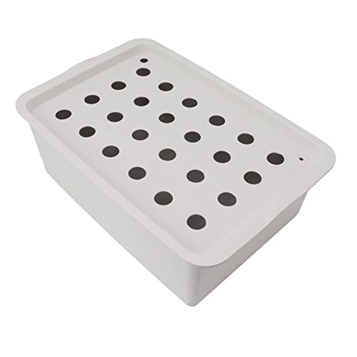 Kweekbox voor hydrocultuursysteem met 24 gaten, zaaiset