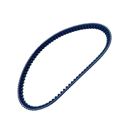 Courroie d'entraînement compatible 300 GTS250 GTV250 Réf 300881100071734