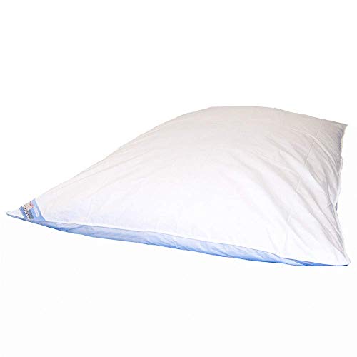 Federbett 135x200 cm 4000g Oberbett Ballonbett extra warm, 100% weiße deutsche Neue Gänsefedern, Bettdecke Winter Cover