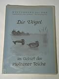  Die Vögel im Gebiet der Plothener Teiche