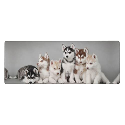 Tapis de souris de jeu grand modèle anti glisse motif amusant chiens