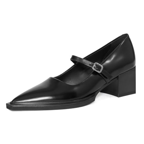 YDN Womens Mary Jane Chunky Block Low Heel Pumps Chic Closed Pointed Toe Buckled Strap Comfortable Dress Shoe Daily Size 4-16 US